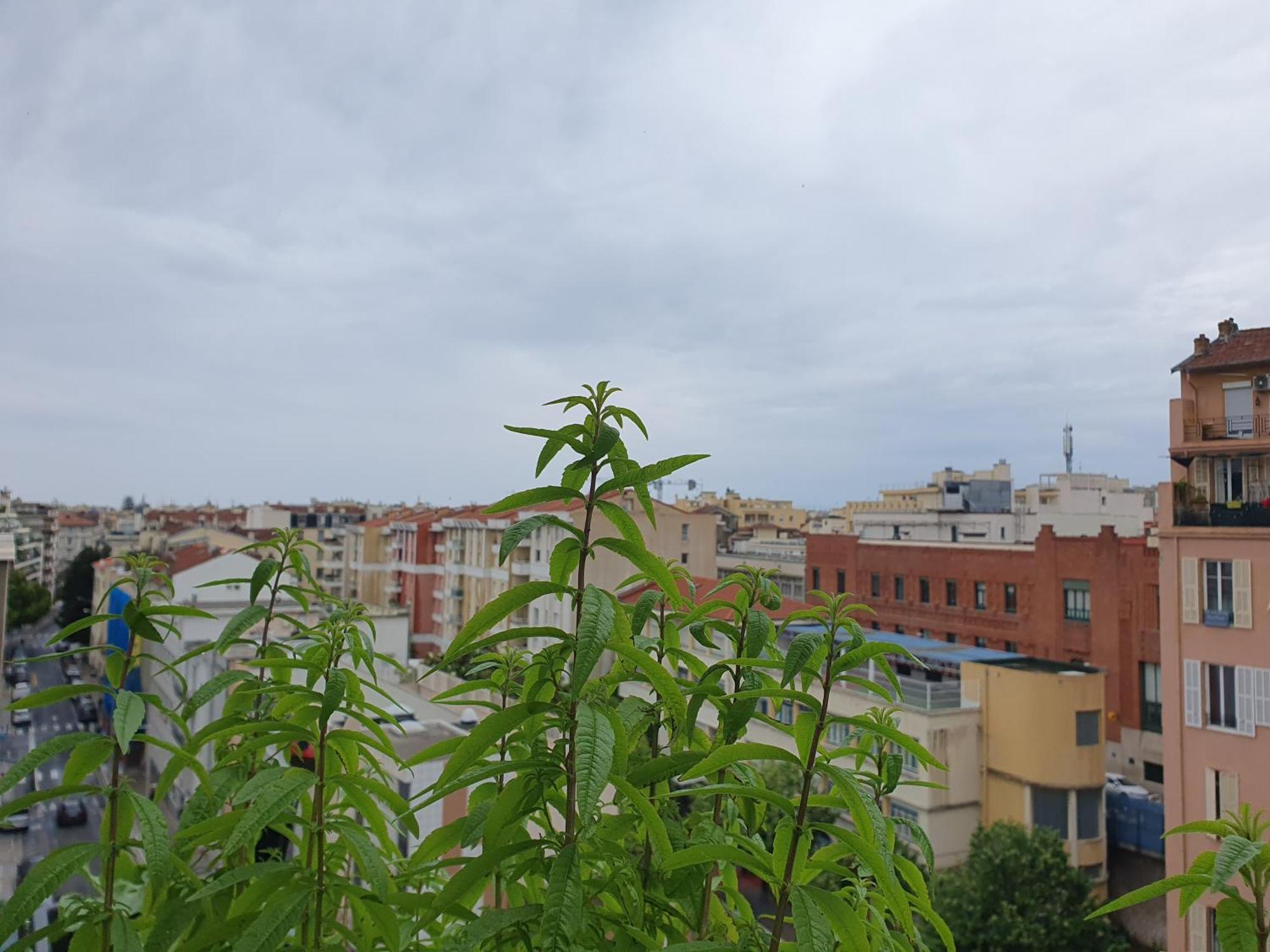 Wonderful Heart Of Nice Exterior photo